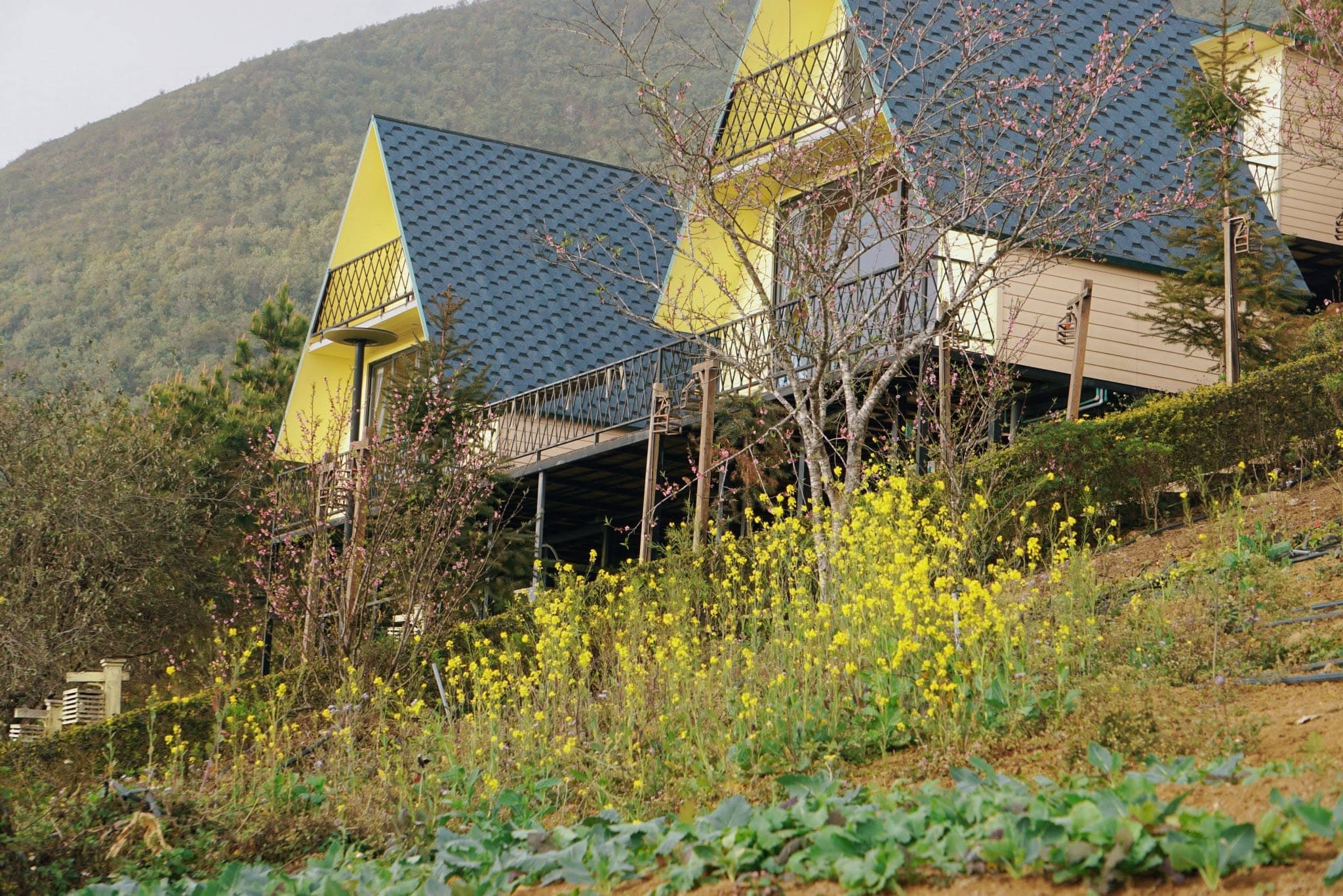 Đom Đóm Homestay 2