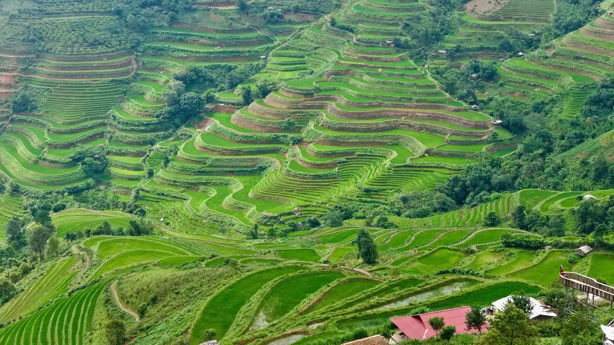 Lịch trình Tà Xùa 2 ngày 1 đêm chi tiết